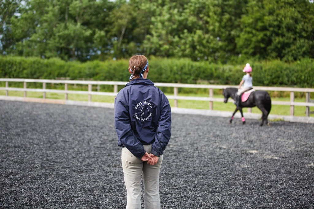 Gibbs Marsh Equine Vets outdoor arena