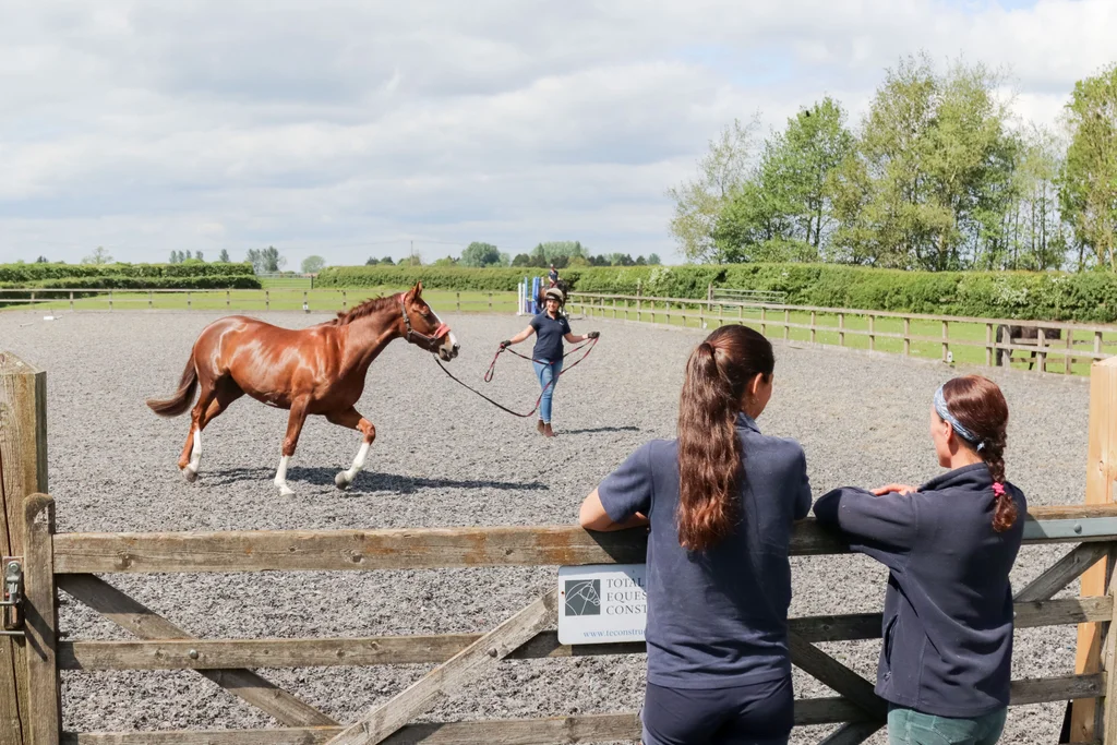Outdoor arena at Gibbs Marsh Equine