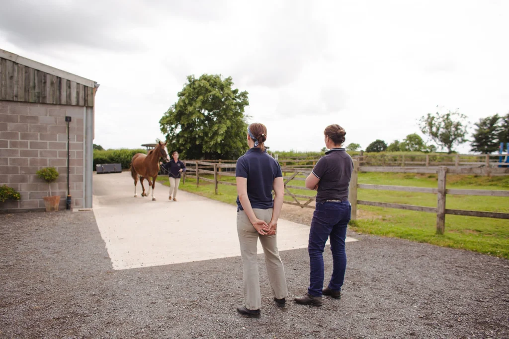 Lameness examination at Gibbs Marsh Equine