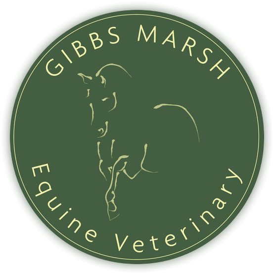 Gibbs Marsh Equine Vets in Dorset